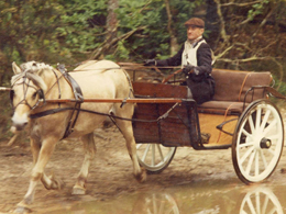 VANS FAUTRAS JEAN DE VINCENZI